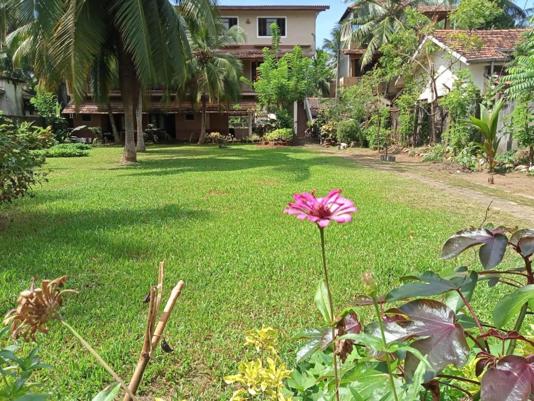 Candle House Kalutara Exteriér fotografie